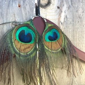 Peacock Feather Earrings